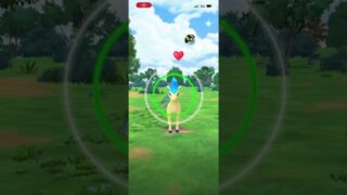 #ポケモンGO ポニータ　色違い