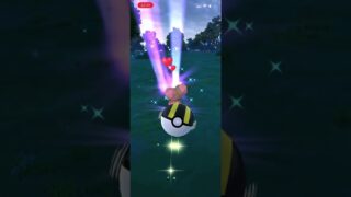 #ポケモンGO ミミロル色違い