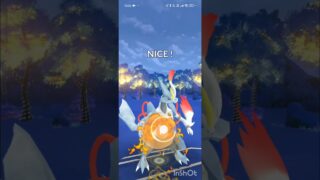 ポケモンGOバトルリーグ　マスターリーグ 1607
