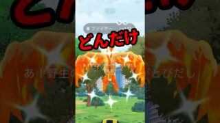 【ポケモンGO】奇跡の光！色違いガラルファイヤー出たけど全然入らん…【緊張の連続】 #ガラル3鳥 #shorts