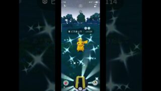 色違い　ヒビキの帽子　コトネの帽子　ピカチュウ　ポケモンGO