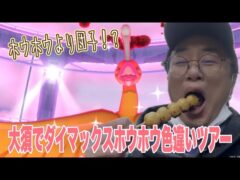 【ポケモンGO】強運開運！大須でダイマックスホウオウの色違い探しツアー！【大須商店街】