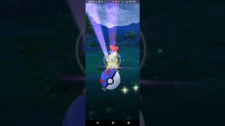 色違いヒスイガーディ捕獲【ポケモンGO】