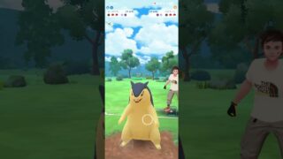 ポケモンGO 通常スーパーリーグ マスカーニャ、S色キングドラ、ドラミドロ