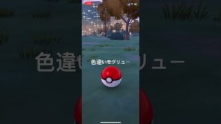 ポケモンGO 色違いモグリュー出現！ #ポケモン #pokémon #ポケモンgo