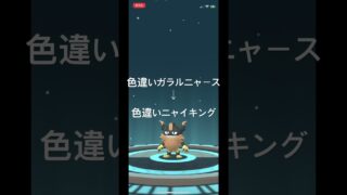 ポケモンGO 色違いガラルニャース出現！色違いニャイキングへ進化！ #pokémon #ポケモン #ポケモンgo