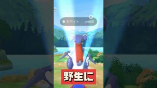 【ポケモンGO】ジム崩してくれたら神！野生ガバイト！今日からのレイド #おひろめ #shorts