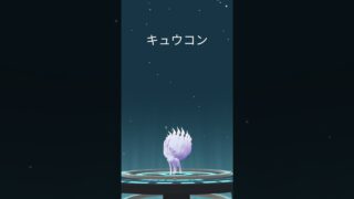【ポケモンGO】色違いロコン・アローラロコン➡︎キュウコン・アローラキュウコン【コミュデイ2026年２月】#shorts