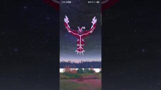 ポケモンGOカロスイベント一日目❗❗イベルタル色違いGET❗#ポケモンgo色違い #ポケモン #shorts