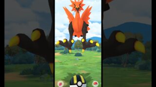 フツーに下手で。【ポケモンGO】【GOバトルリーグ】【マスターリーグ】