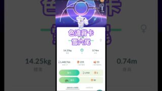 Pokémon GO社群日：六尾&阿羅拉六尾色違補捉進化