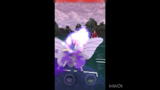 Sモルフォン使ってみた🧐