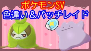 🔴【ポケモンSV】色違いクルマユレイド＋とくせいパッチメタモンレイド＋視聴者同士の交流所（攻略情報・レイド募集・ポケモン交換・ポケモン対戦・攻略情報など）2026年2月25日 夜～