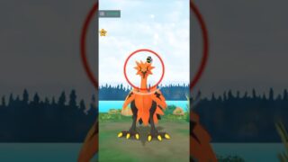 catch legendary galarian birds || in Pokemon go || #pokemongo #ytshorts #pokemon