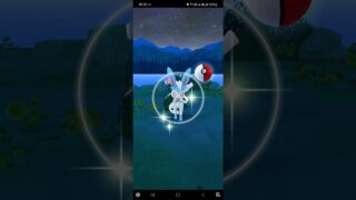 曲球excellent異色公仙子伊布開圖 #pokemongo #ポケモンgo #寶可夢 #ニンフィア #Sylveon #カーブボール #色違い #shinypokemon #限時調查