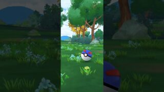 色違いニャース  ｷﾀ━━━━(ﾟ∀ﾟ)━━━━!!#ポケモンgo #色違いポケモン