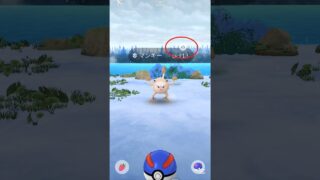 【曇りブーストだけど雪】 #ポケモン #ポケモンgo