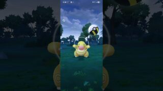 たまたま家の近くにいたのでタップしたら出てきたベロリンガの色違い❗❗#ポケモンgo色違い #ポケモンGO#shorts