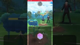 育成しやすい無課金ポケモン達でマスターリーグ #ポケモンgo #gbl