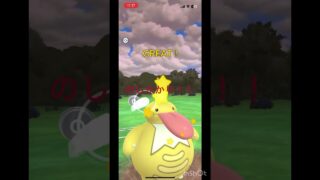 ハイパーリーグ#ポケモンgo #goバトルリーグ #ハイパーリーグ