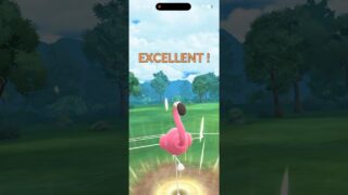 スーパーリーグでカラミンゴってまだ刺さる？試してみたら衝撃の結果に #ポケモンgo #goバトルリーグ #カラミンゴ