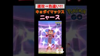 色違い！【キョダイマックス ニャース】胴が長すぎてびっくり #ポケモンgo #ポケモン #pokemongo #色違い #ダイマックス #ニャース #ザシアン #ザマゼンタ #カイリキー