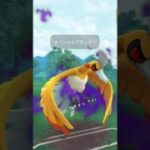 マスターリーグシャドウホウホウ　出し勝ち #ポケモンgo #pokemongo #ポケモン #gbl