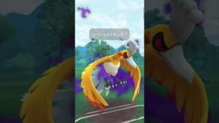 マスターリーグシャドウホウホウ　出し勝ち #ポケモンgo #pokemongo #ポケモン #gbl