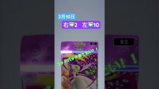 #ポケカ #ポケモンカード #ポケモン #pokemon #保育士 #わらわら子育て #ポケカ開封 #ぽけぽけ #pokemoncards #おれポケ #ショート #ポケモンgo #開封動画