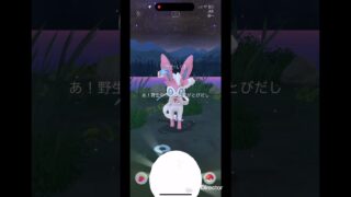 大ニンフィア #pokemongo #pokemon #ポケgo #ポケモン #ポケモンgo