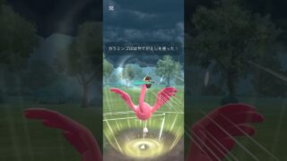 ハイパーでカラミンゴ使っていく！