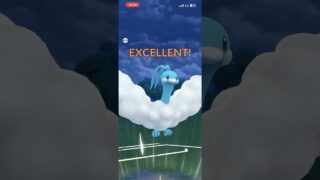 調整シーズン スーパーリーグ