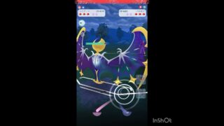 ルナアーラが優秀すぎる🤩