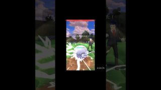 マルマイン増えてきた！(◎_◎;)