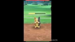 あっ💦一貫ポケモン来た！(◎_◎;)