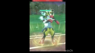 メガルカリオ‼️‼️‼️