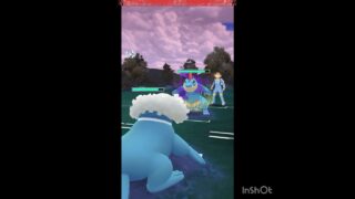 トドゼルガって優秀やね‼️