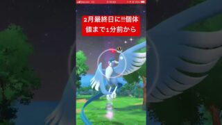 第1位🩷 2月に思い出撮影した色違い25匹目❤️今年57匹目（コミュデイ除く）、記念、記録動画🎥【ポケモンGO】#shorts #pokemon #shinypokemon