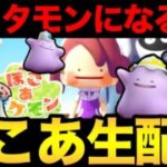 ぽこ あ楽しすぎるだろ！3 【ぽこ あ ポケモン】