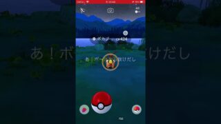 ゲットの瞬間　パート3000 ポケモンgo #ポケモンgo #pokemongo