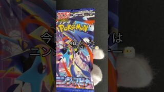 タル=バレルの毎日開封日記86日目 #ポケモン #ポケモンカード開封 #ポケカ開封 #コレクション