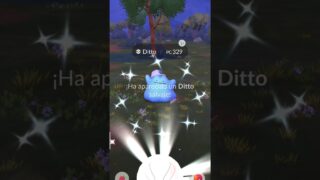 ✨ ¡DITTO SHINY! 😱🔥 La sorpresa más rara en Pokémon GO