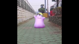 메타몽 ( Ditto ) メタモン ( 百變怪 )