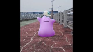 메타몽 ( Ditto ) メタモン ( 百變怪 )
