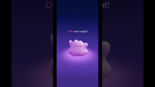 Ekans CP 11 Turns Into Ditto CP 10? 😱 | Pokemon GO #Shorts