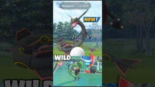 First Ever✨️Wild Rayquaza Spawn in Pokemon Go