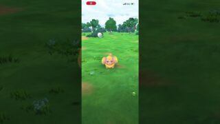 #ポケモンGO パピモッチ　色違い