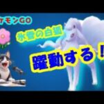 【ポケモンGO 】アローラキュウコン、春カップで躍動！