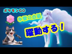 【ポケモンGO 】アローラキュウコン、春カップで躍動！