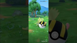 ポケモンGO カクレオン色違い出た！